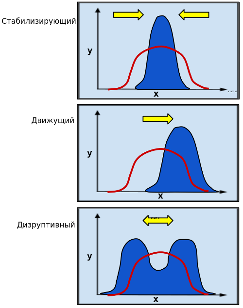 Виды естественного отбора [1]