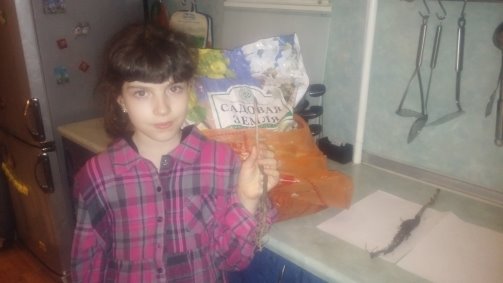 D:\Documents\ШКОЛА\Научно-практическая конференция_2класс\20141115\20141115_232112.jpg