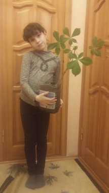 D:\Documents\ШКОЛА\Научно-практическая конференция_2класс\20150122\20150222_182724.jpg