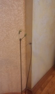 D:\Documents\ШКОЛА\Научно-практическая конференция_2класс\20150122\20150222_173753.jpg