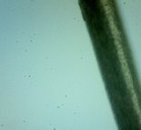 E:\pic0125.jpg