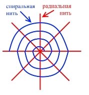 \\DISKSTATION\BackUp\Yandex_disk\Школа\Экспертиза\Конкурс_край_2017\Степанова Цхай\Рис..jpg